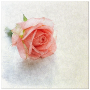 Blog 3 Blog 3