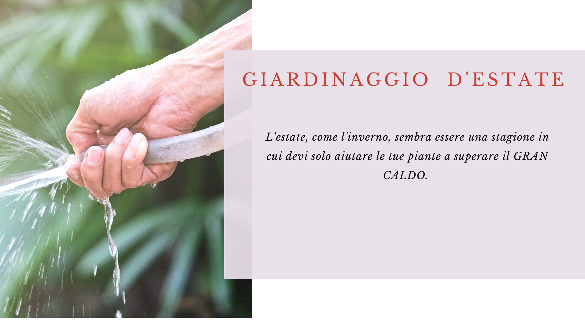 giardinaggio estivo