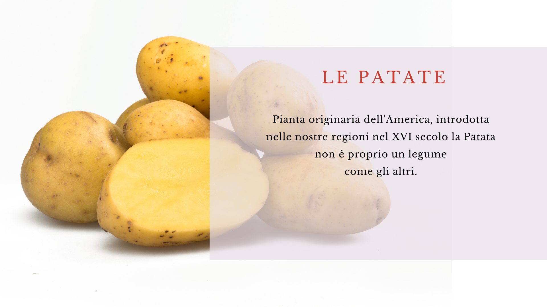 Patate