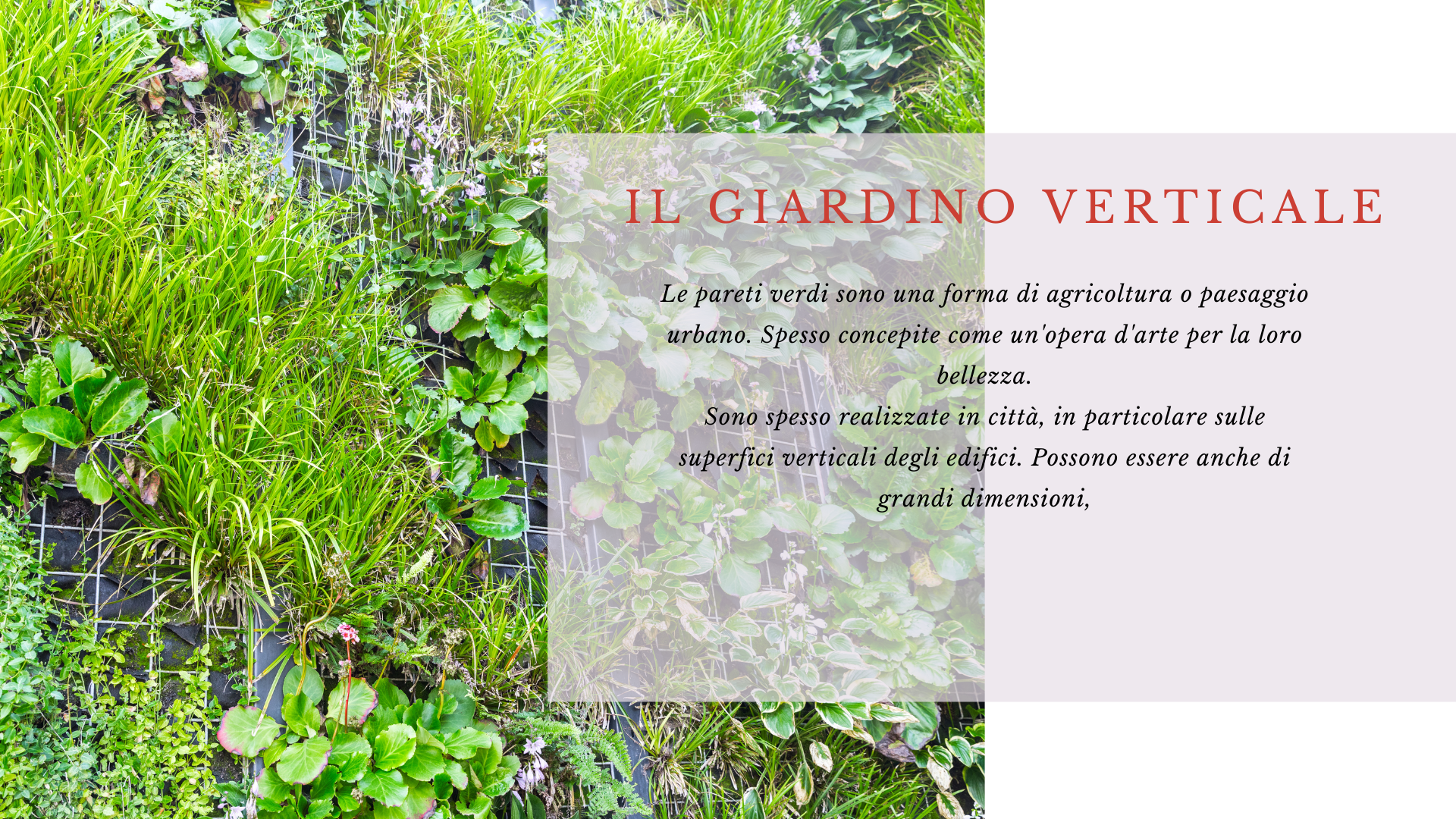 giardino verticale