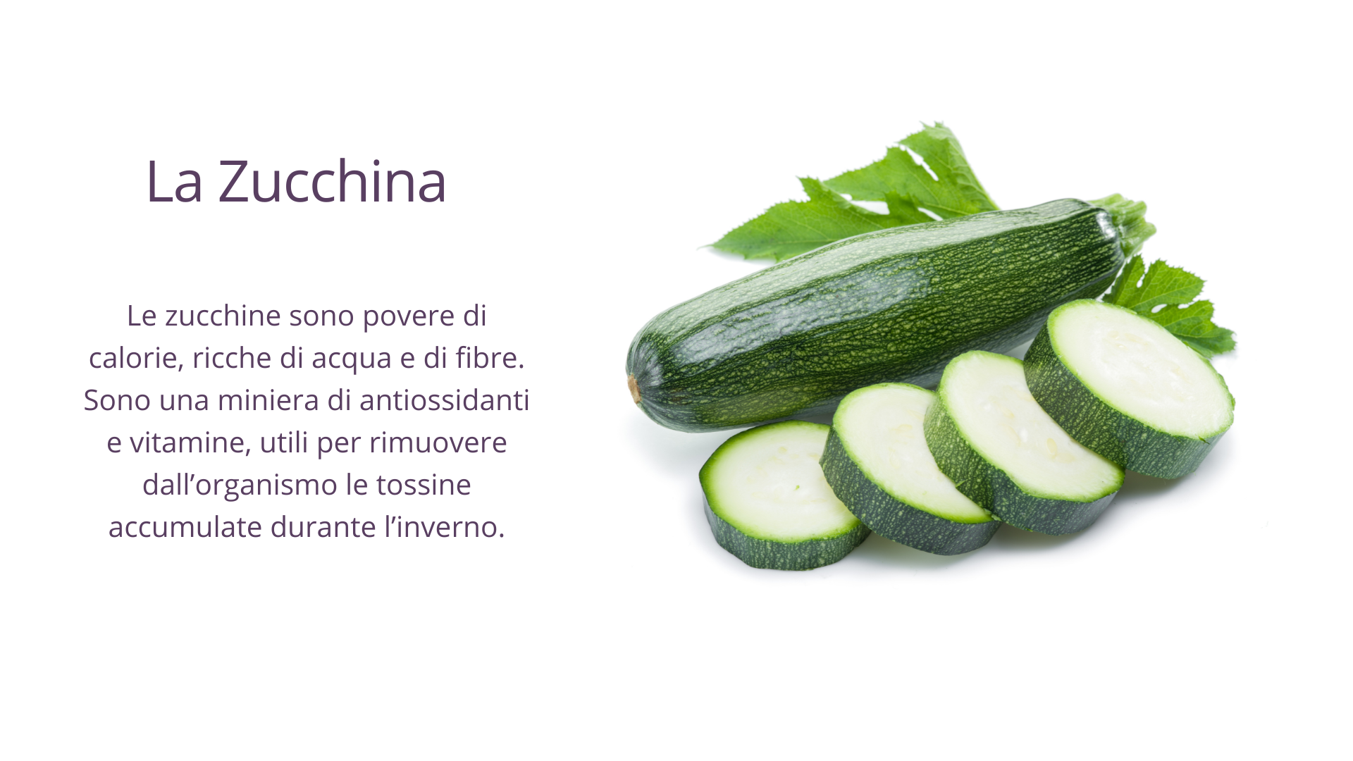 zucchina