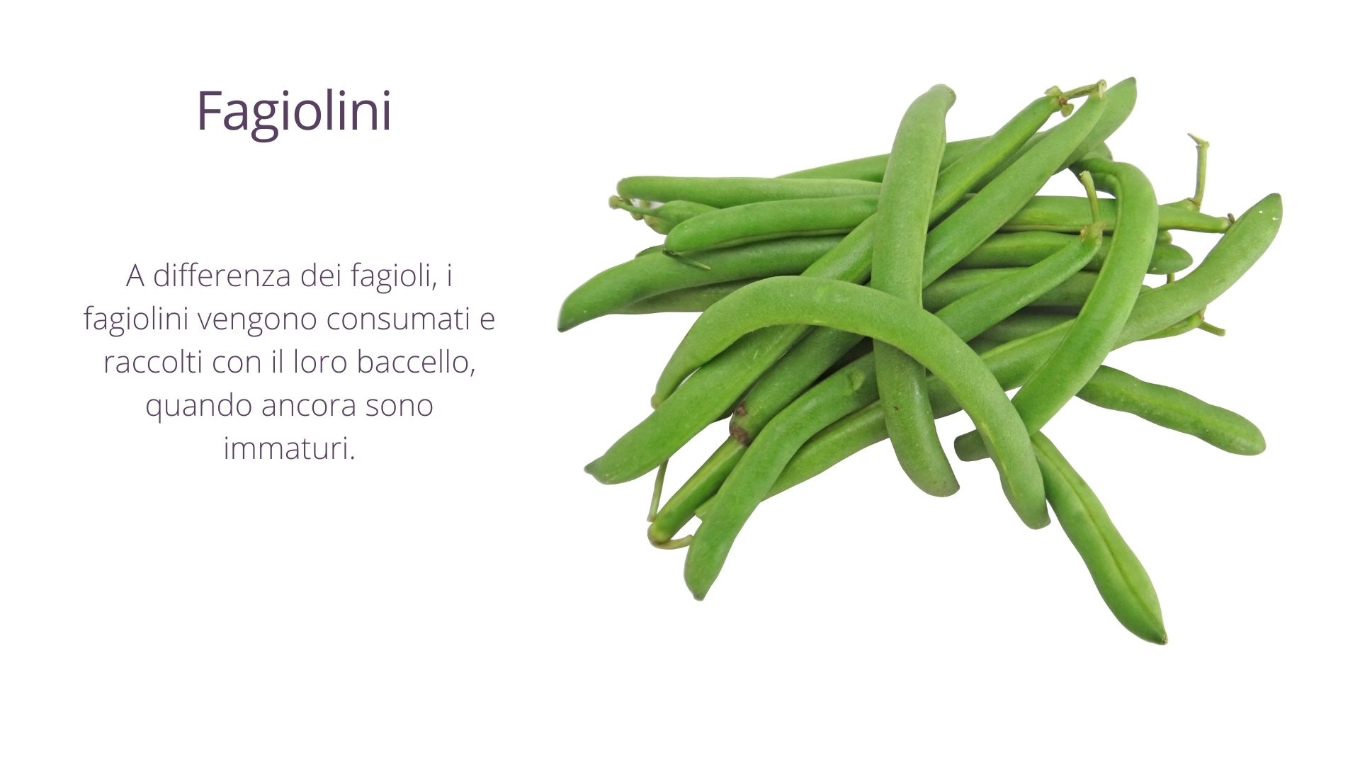 Fagiolini Fagiolini