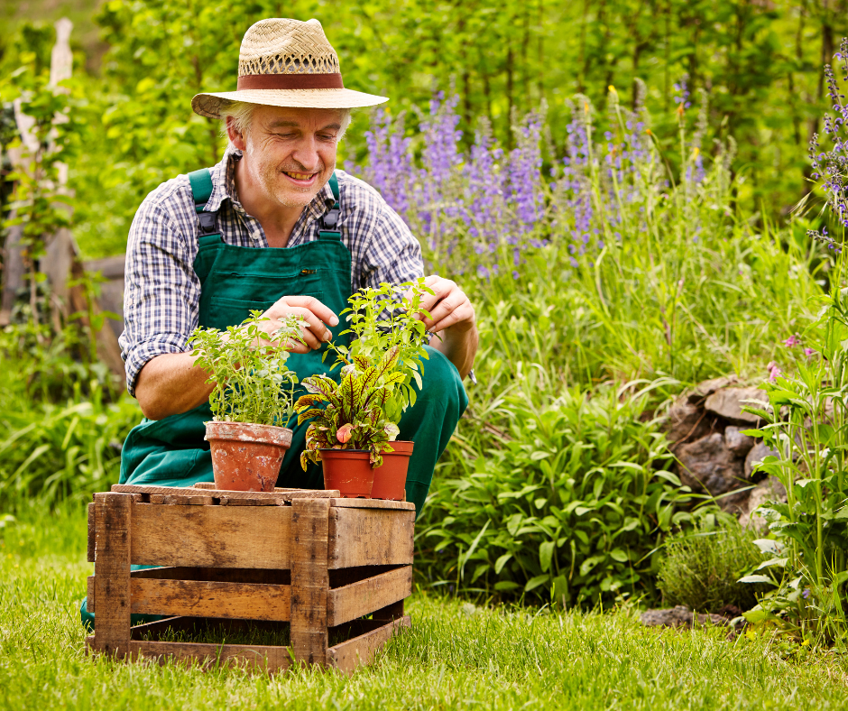 Giardinaggio