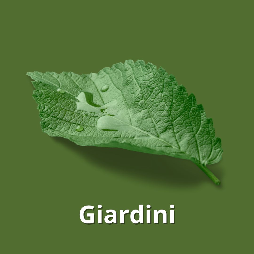 Giardini Giardini