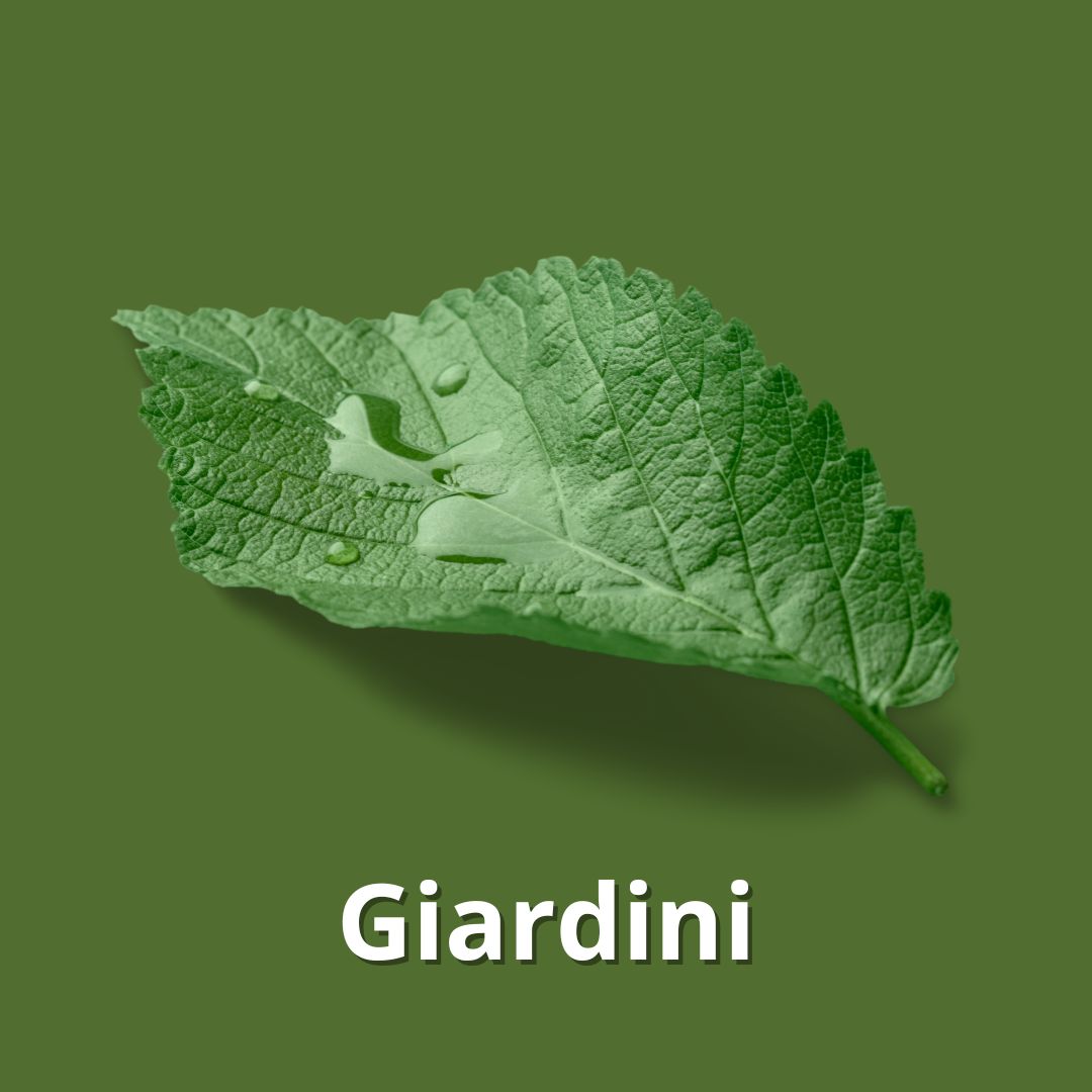 Giardini