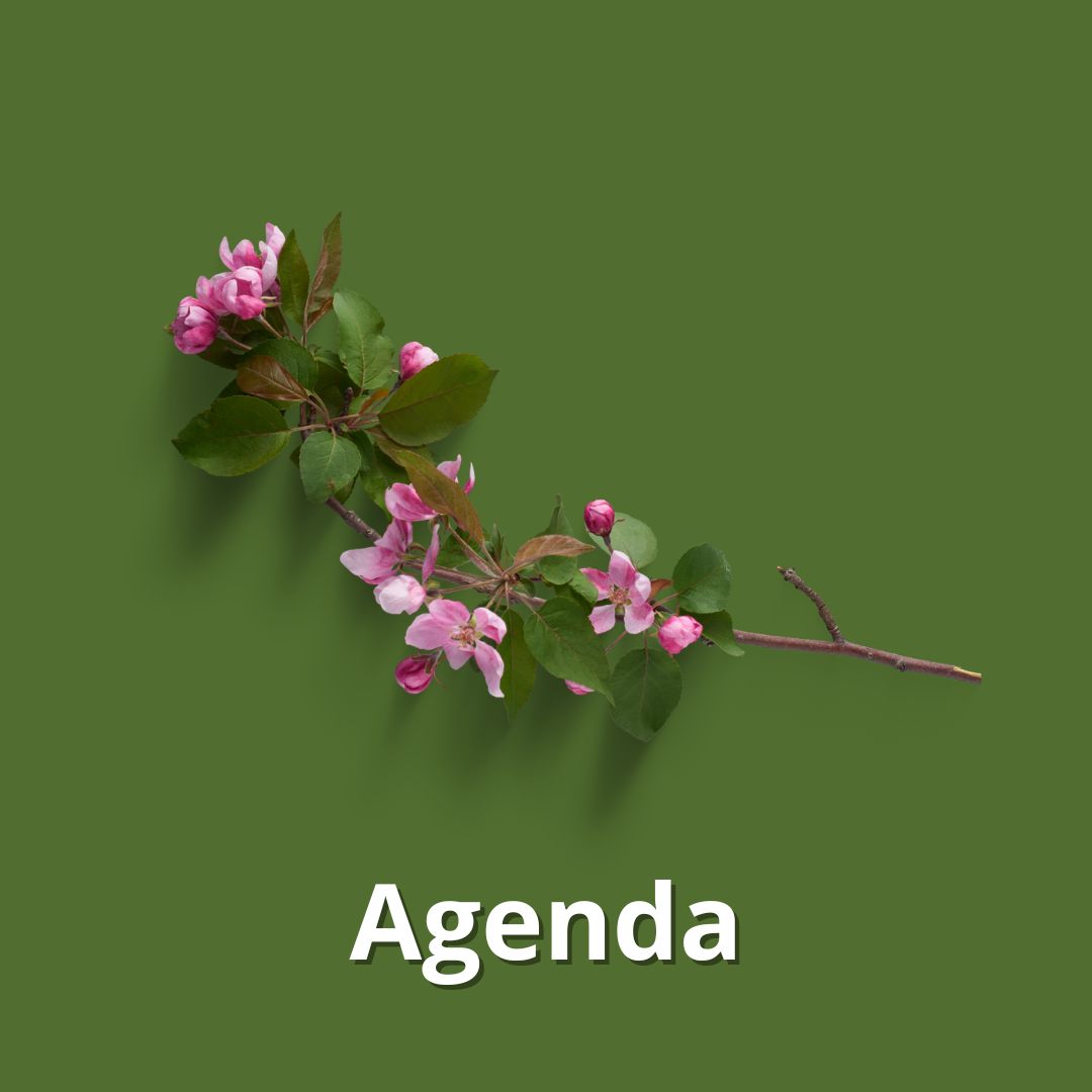 Agenda Agenda