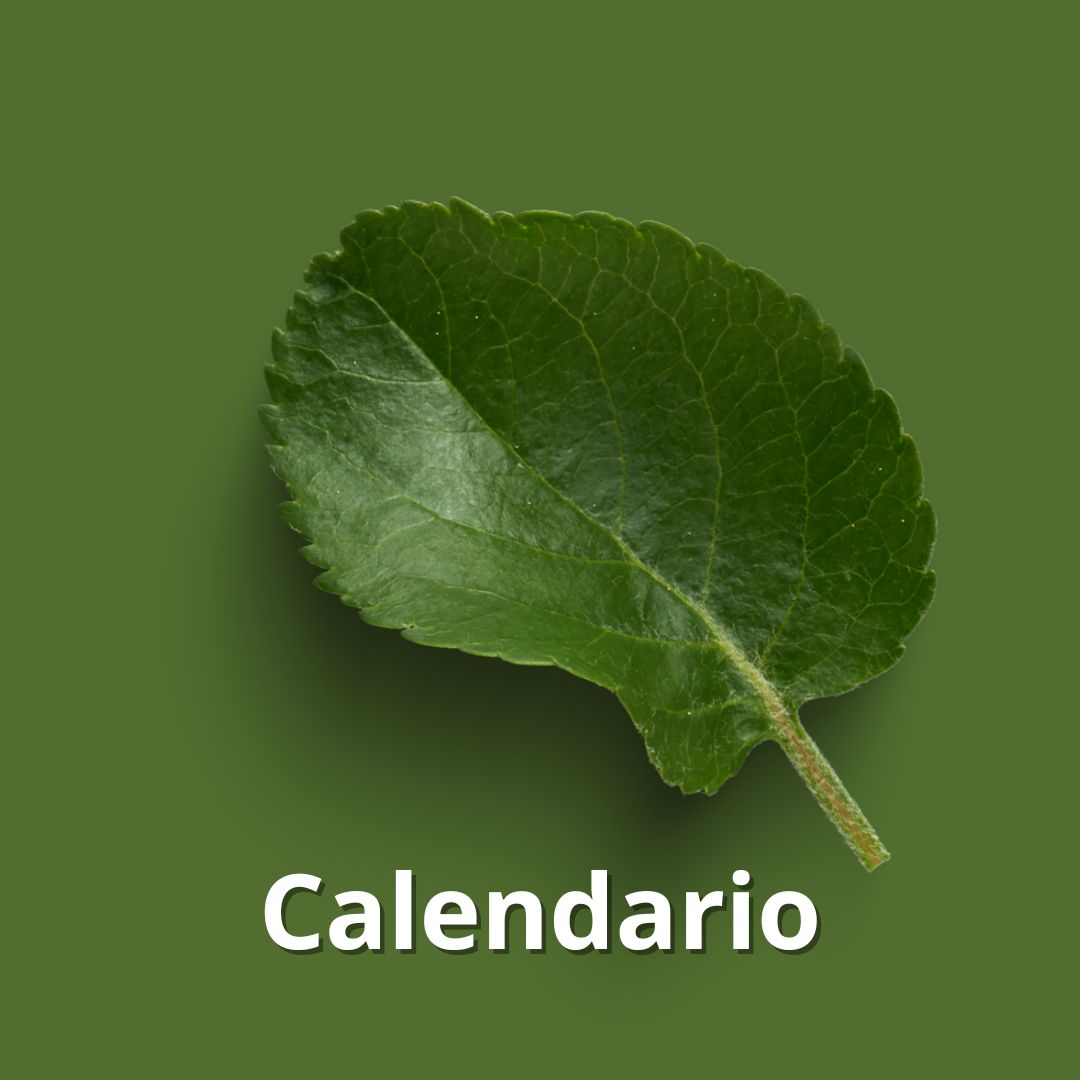 Calendario Calendario