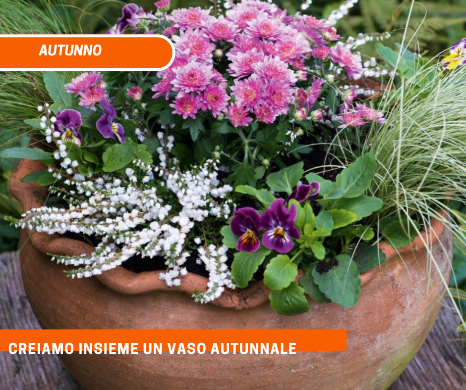 Creiamo insieme un vaso autunnale